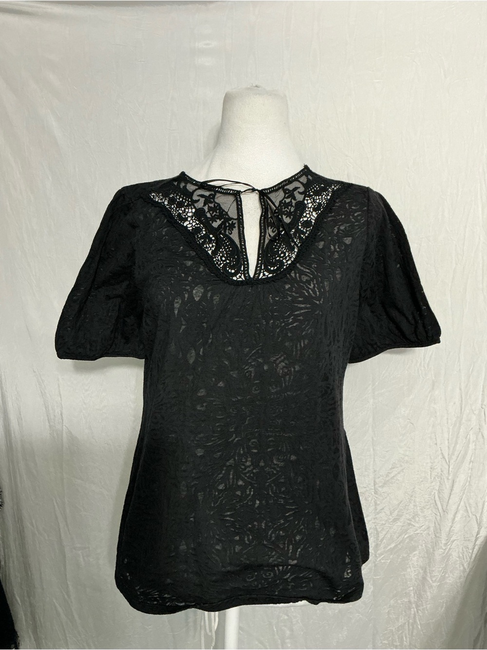 Ashley Judd Black Lace Yoke Short Sleeve Top